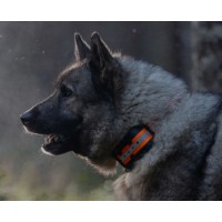 Tracker LUNA GBS tutkapanta! 